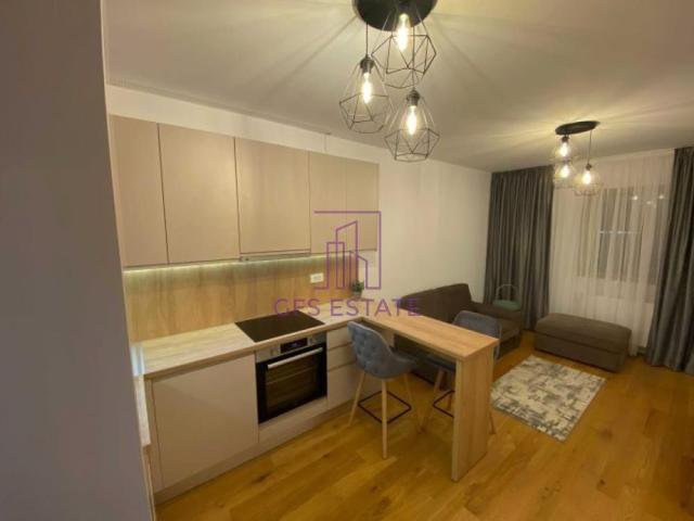 Inchiriere Apartament 2 Camere Aviatiei Park