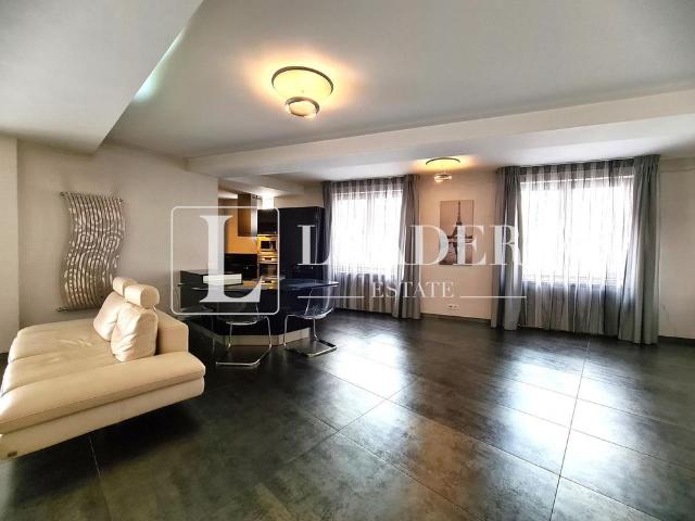 Inchiriere apartament I Herastrau