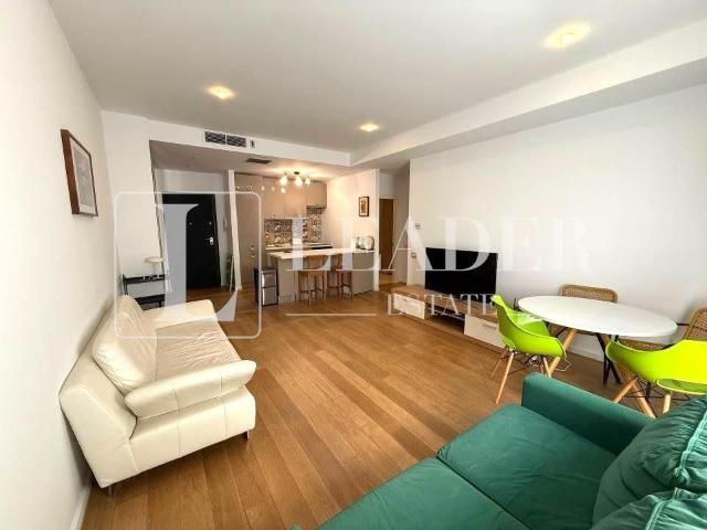 Inchiriere apartament I Herastrau