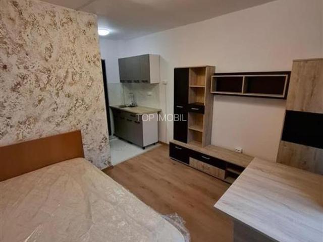 Inchiriere Camera de Camin zona Bularga