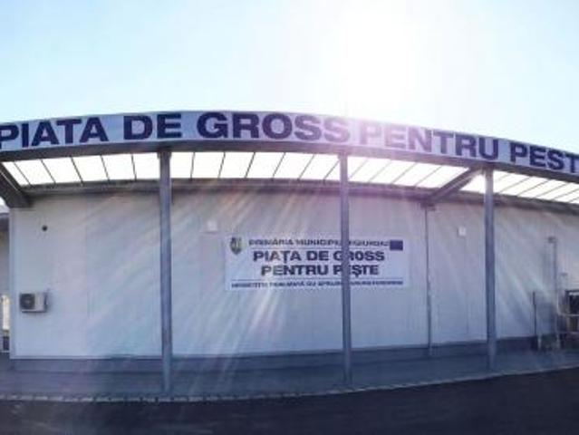 inchiriere spatii