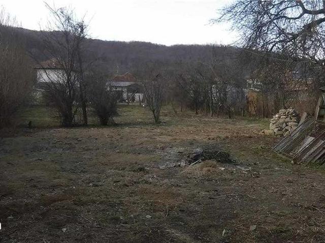 Inchiriez casa duplex cu 2 apartamente, crama si curte generoasa