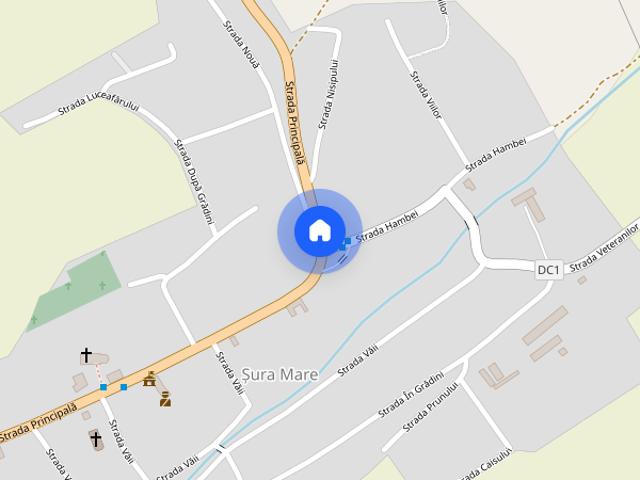 Închiriez casa în Șura Mare 36 Mp