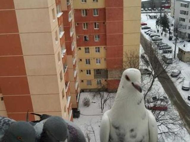 Inchiriez apartament 4 camere, Bl H4, B dul Traian