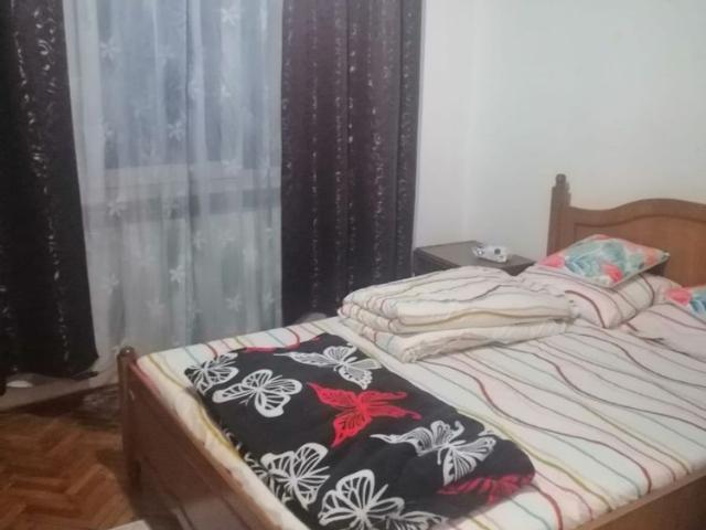 Inchiriez apartament cu 3 camere lângă Liceul Petru Rares