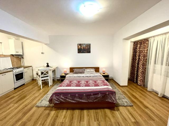 Închiriez garsonieră, Brașov, Bulevardul Garii, mobilat / utilat, decomandat, 30mp, etaj 6