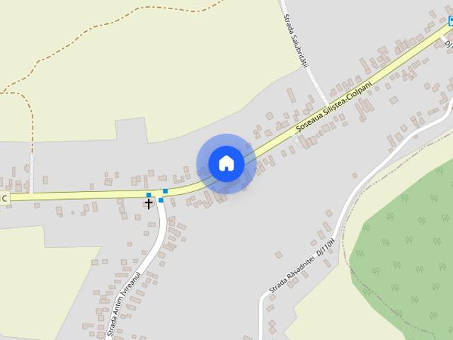 Inchiriez Vila 5 camere in Padurea Snagov, Silistea Snagovului