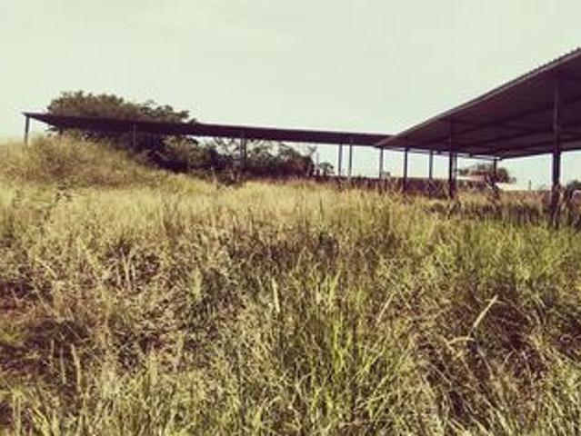 incomplete business project at sidou.