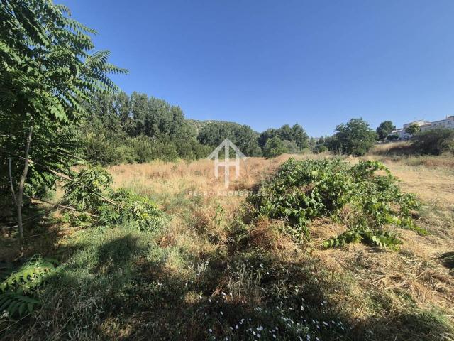 ¡Increíble finca rústica en venta en Algarinejo!