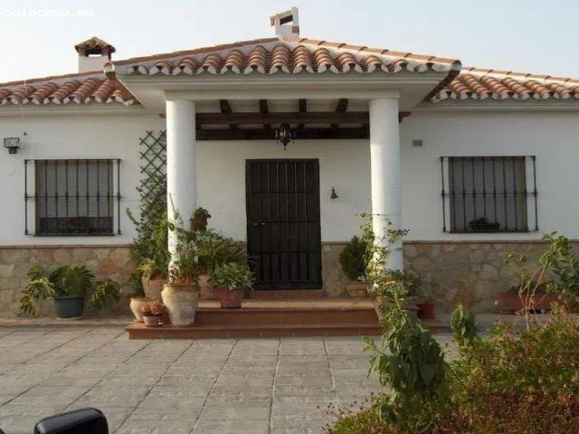 Increible oportunidad de CASA RUSTICA Con piscina,barbacoa y producción de Olivos!