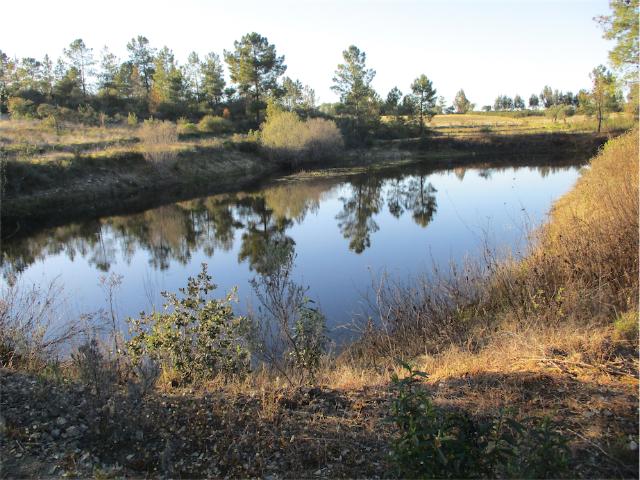 Incrível Terreno com Lago, ideal para colocar estruturas amovíveis. Ótimo solo para cultivar e árvores frutíferas. Bons Acessos, eletricidade perto. A uma curta distância da vila com lojas