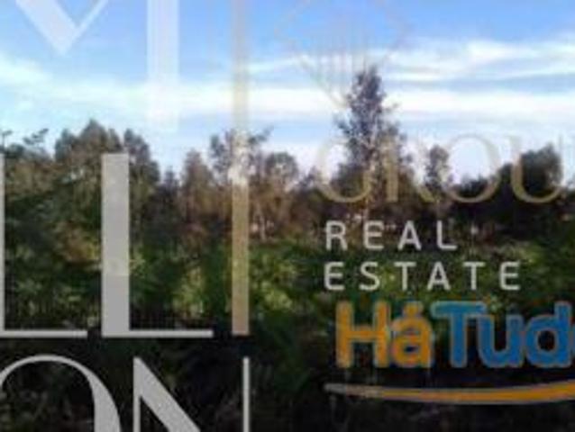 Incrível Oportunidade de Terreno em Vila Nova de Gaia | 26063761803