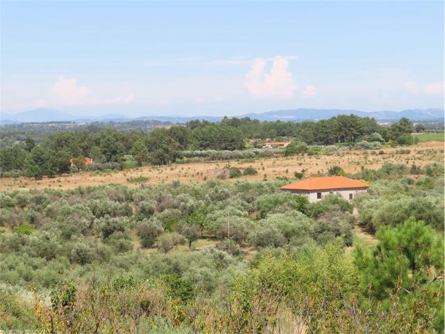 Incrível Quinta Biológica com quase 14 Hectares. Uma Villa, outra casa e dependências. Muitas árvores, muitas auto água. A menos de 1km da vila com comércio, Praia Fluvial e uma Estação de Comboios com comboios para o Aeroporto de Lisboa