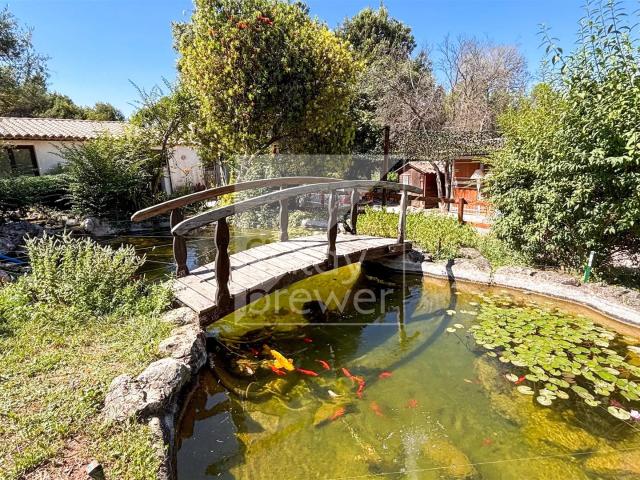Incroyable Maison/Écurie Perdue Forêt Roquefort 251m² Roquefort les Pins