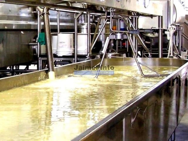 Indústria, Fábrica de Queijo, Participação maioritária. Portugal, Guarda