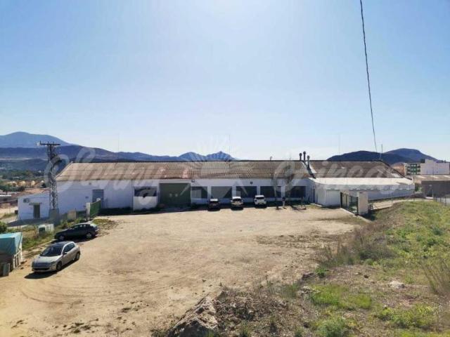 Industrial Monovar Alicante 96288240