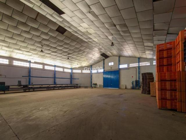 Industrial Aitona Lleida 96292298