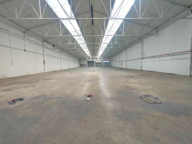 Industrial Alicante Alicante LS97603760