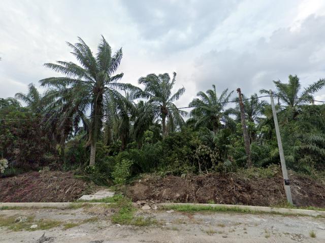 Industrial Land for Sale at Sijangkang Utama, Telok Panglima Garang