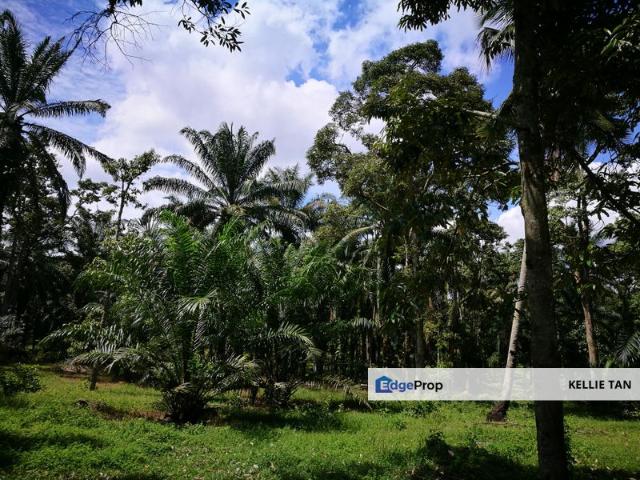 Industrial Land For Sale in Dengkil