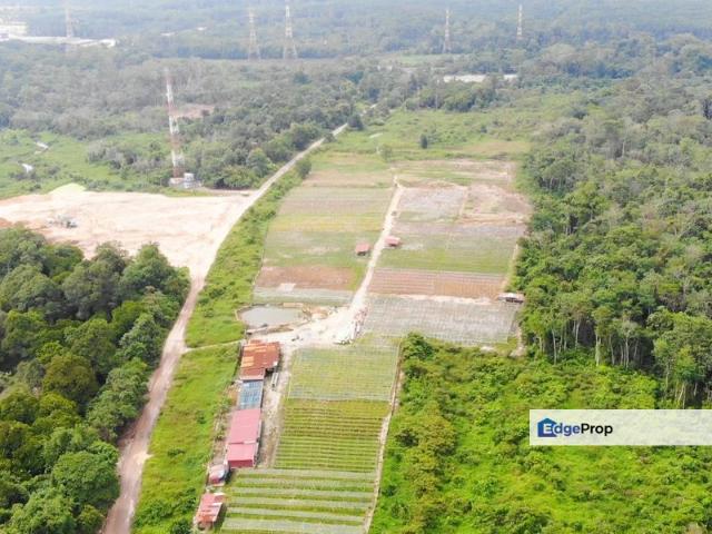 INDUSTRIAL LAND MEDIUM, 16 ACRES NEAR PORT OF TANJUNG PELEPAS PTP, HIGH POTENTIAL F0R INVESMENT, ISKANDAR MALAYSIA, JOHOR