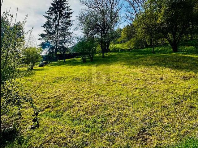 Industrial lot on sale in Sonvilier Ref 1412 | dreamo. Ch