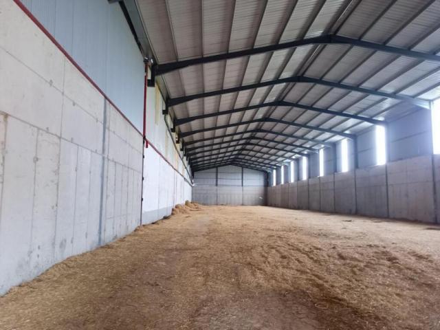 Industrial Palencia Palencia 77083646