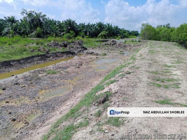 Industrial Potential Development Land Jenjarom, Selangor For Sale
