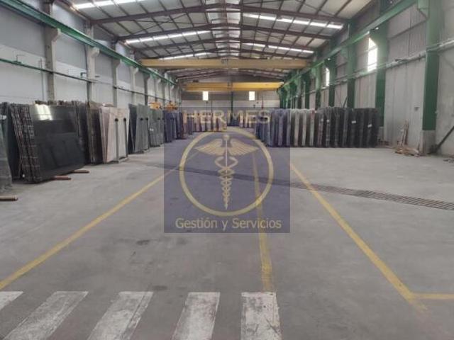 Industrial Tui Pontevedra 87928012