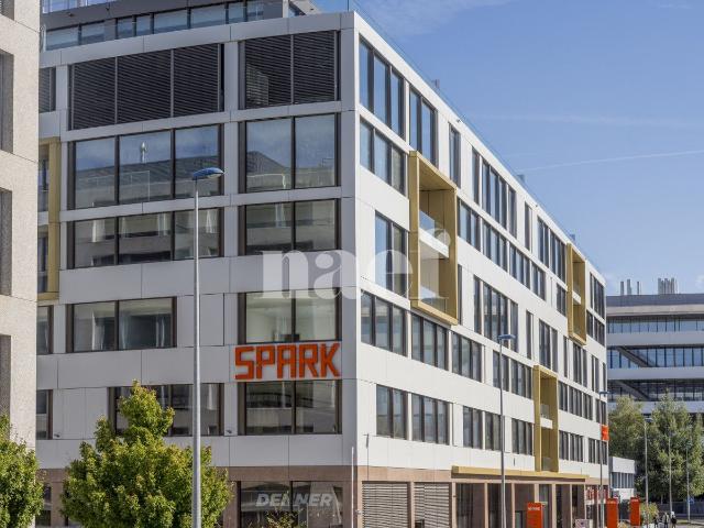 Industriefläche von ca. 1145 m2 in Penthouse mit Terrasse zu vermieten
