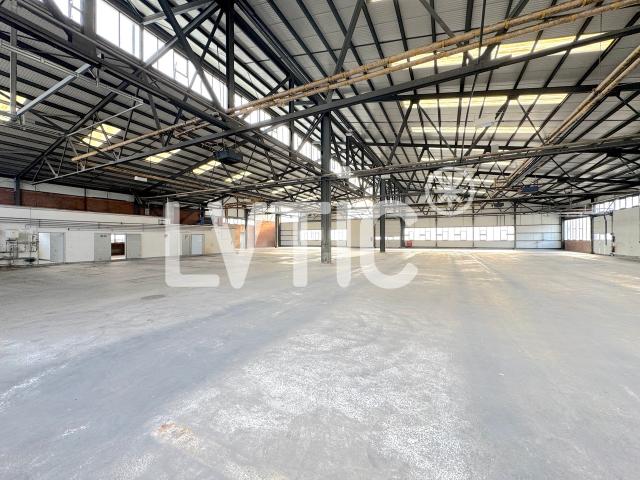 Industriehalle, Lager von 2200 m2 zu vermieten in Aigle