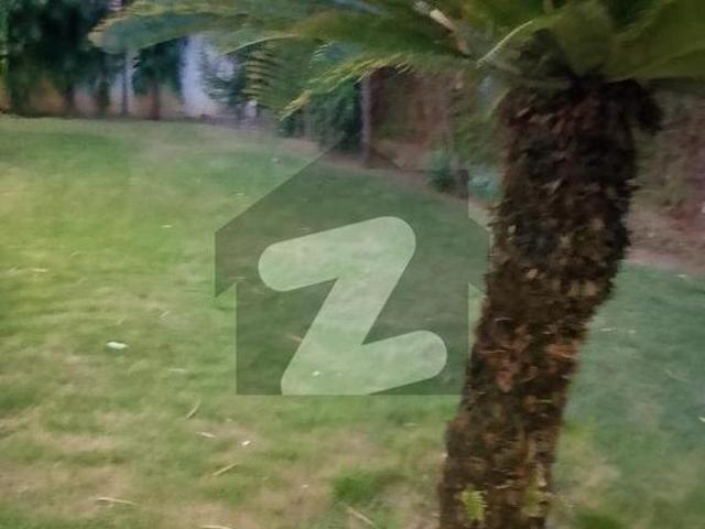 Independent House Available For Rent In Westridge 1 Offices wear house commercial parpaz Westridge