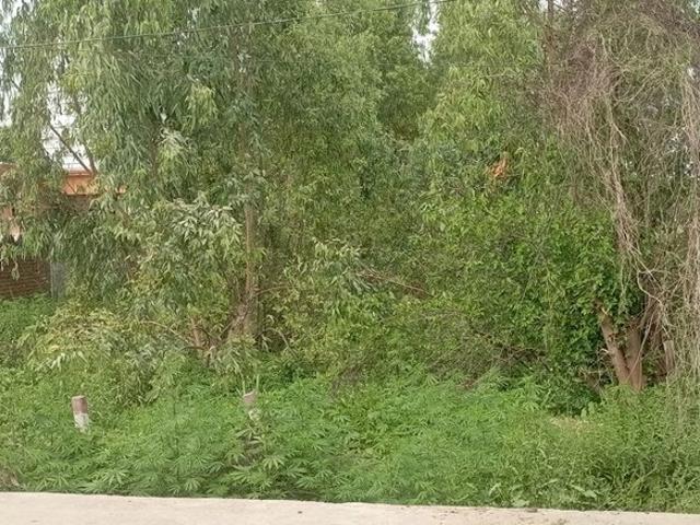 Independent Plot Commercial Land 800 Sq. Yd. in LudhianA Chandigarh Hwy Mohali Listing ID: #10164