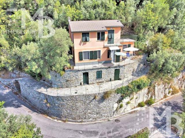 Indipendente in vendita a Avegno