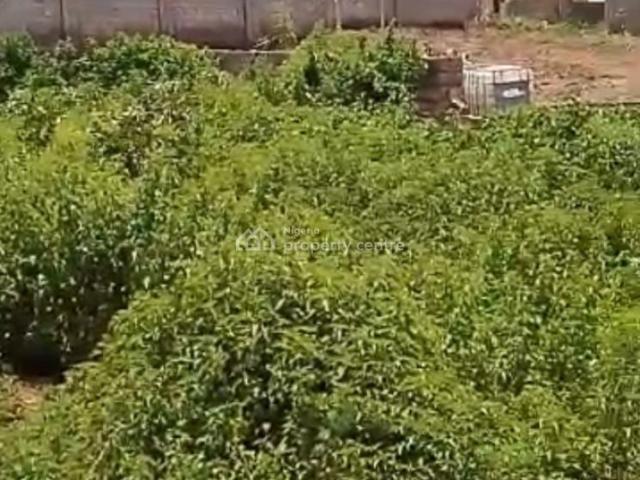 Individual Plot Of Land In A Well Developed Area