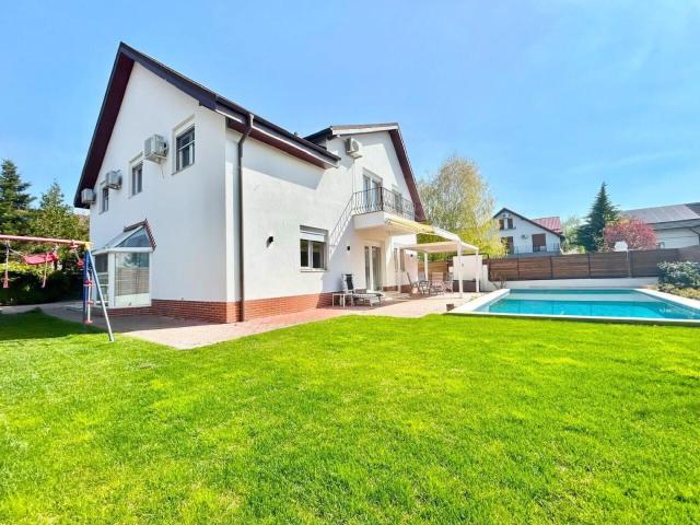 individual villa with pool, 6 bedrooms, iancu nicolae