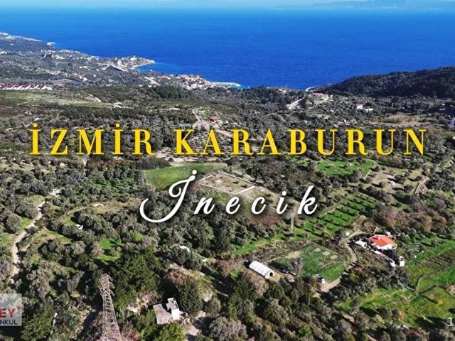 Inecik köyünde 2.200 m2 zeytin ağaçlı tarla