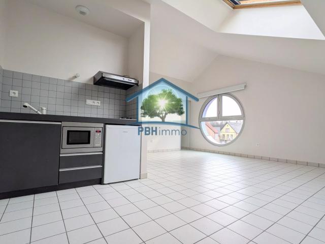 INGWILLER F2 53m² au sol avec Plafond Cathédrale