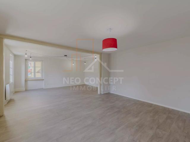 Ingwiller Vente Immeuble 67