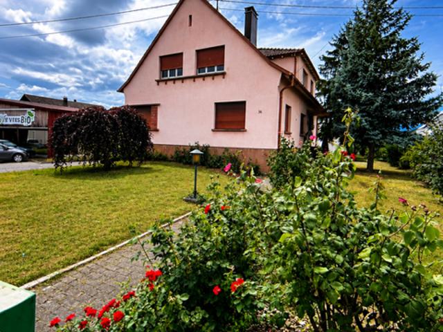Ingersheim Vente Maison 68