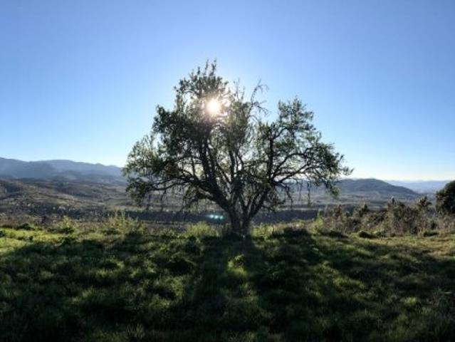 Inigualable parcela en Lombillo