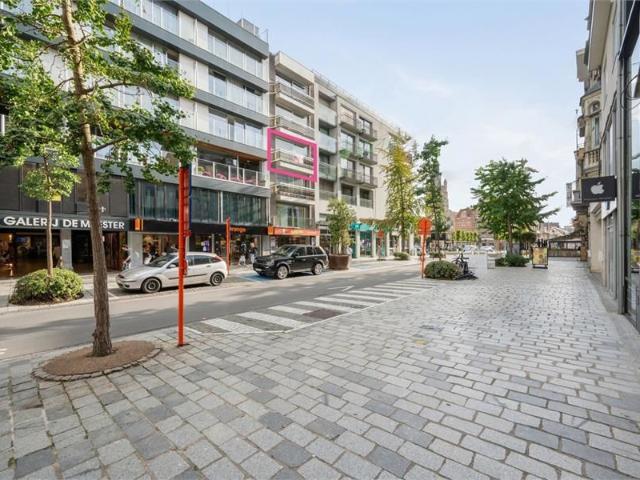 Instapklaar appartement 2 SLPK in het centrum