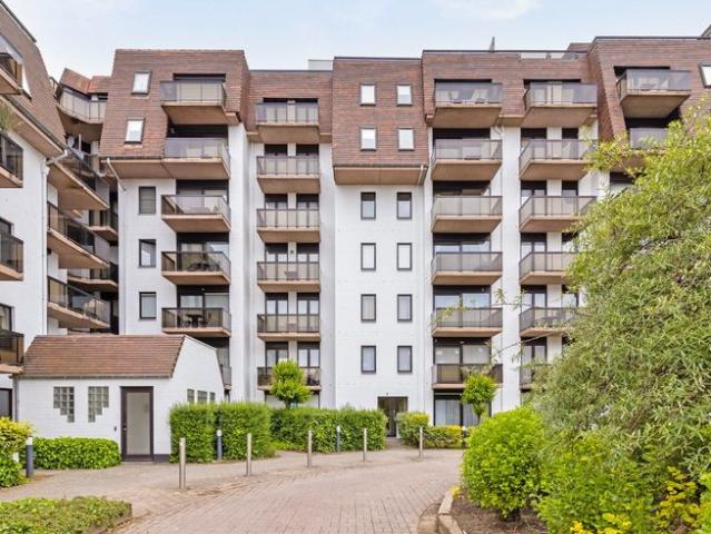 Instapklaar appartement nabij de zeedijk: Sint Idesbald!