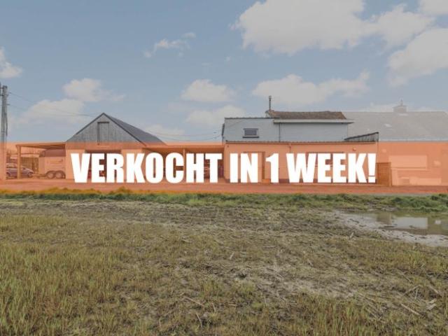 Instapklare woning met paardenaccommodatie!
