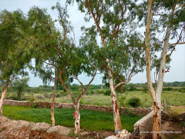 Institutional Land for sale in Dabok, Udaipur P194775