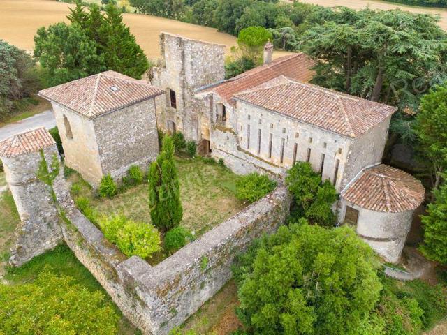 Insolite: Château fort dit Musée du Pastel dans le Tarn 400m² Lavaur