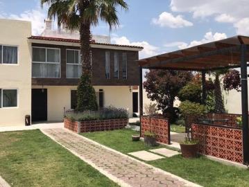 International Housing Cholula