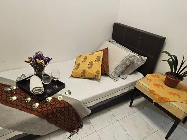 International Plaza Apartment Room Rental, $1,300, 1 Bed 1 Bath 100 sqft $13.00 psf