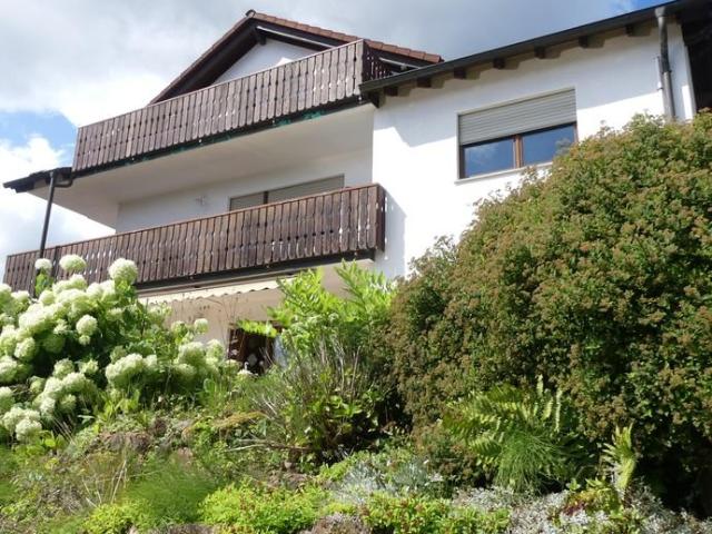 Interessante Kapitalanlage und Eigennutzung! Mehrfamilienhaus mit Weitblick direkt in Erbach