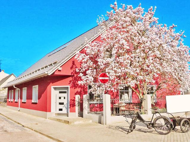 interessantes Wohnhaus mit besonderem Flair in Coswig Anhalt